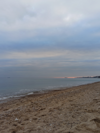 IMG_20220116_174059.webp