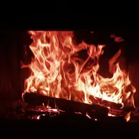 IMG-ab0d4a47d565630d81119165f9dc91de-V.webp