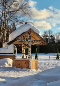 Screenshot_20220116-225748_Gallery.webp