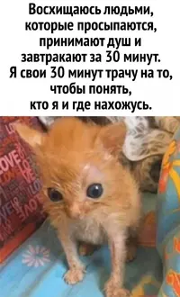 zmruL29yAdo.webp