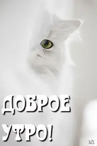 208939d6de0c3165dc9fb12e136604b4.webp