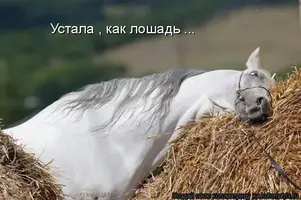 996114.webp
