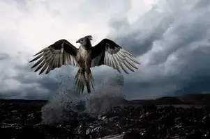 200450771-001.webp