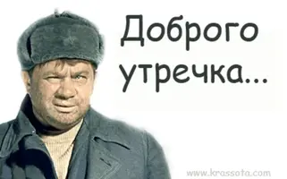 5589300_8361d0389fb853e3928b0dc310d4587b_800.webp