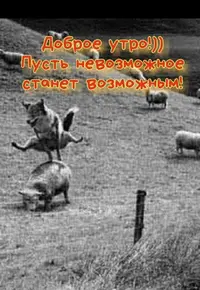 089b10b8b982425bf1ec9f0f71eefac5.webp