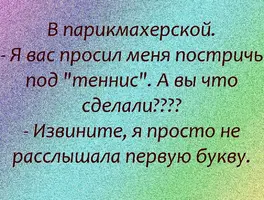55655.webp
