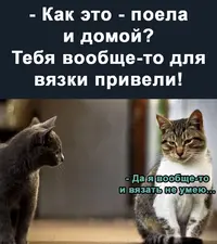 11211.webp