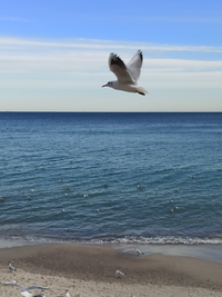 IMG_20220119_175959.webp