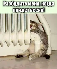 c5504ce5ad193f18932a435c1e37b645.webp