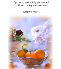 430.webp