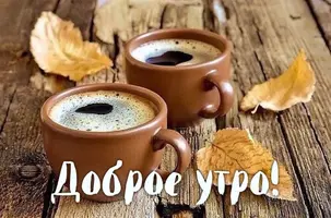 9E4BA767-CD8C-49A9-9EA8-66656AAD3AD5.webp