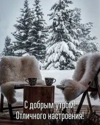C43F7FA1-5E11-4679-B230-F7A9F028BF9D.webp