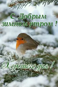 aaffb6bb1cb4a63cc5e828585cd887ea.webp