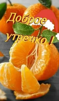 e44af1f642c16295955ca81b35b01bdf.webp
