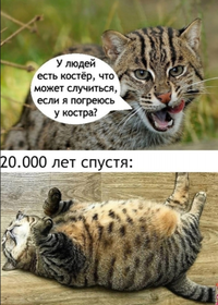 IMG_20211024_183648.webp