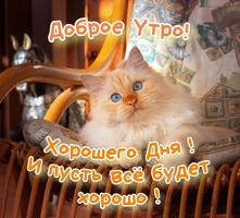 IMG_20220127_052130.webp