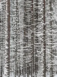 20220122_113207.webp