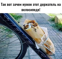 1643299621083.webp