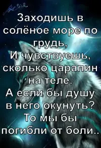 IMG_20220126_225210_199.webp