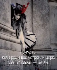 951.webp