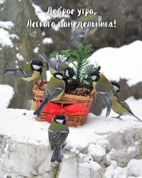 7D0F6413-7D4F-42DA-B4D0-C0832A196378.webp