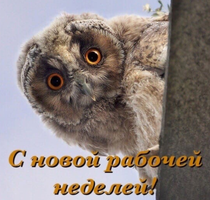 IMG_20220131_065916.webp