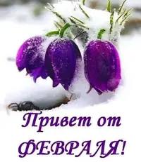 IMG-20220201-WA0004.webp