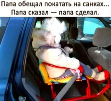 IMG-671811d5552c81654b8a3338f981f93c-V.webp