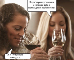 IMG_20211024_183253.webp