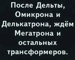 1643935605983.webp