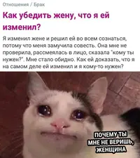 2b-bFNpcrWg.webp