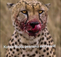 1643960384422.webp