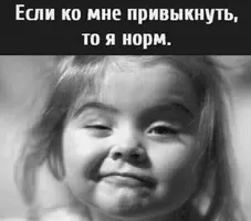 232325.webp