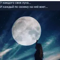 858987.webp