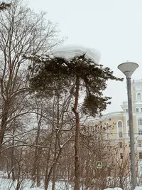 IMG20220206122406.webp