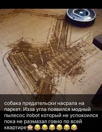 IMG-20181220-WA0029.webp