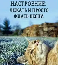 636567.webp