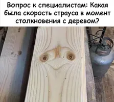 IMG_20220208_130700.webp