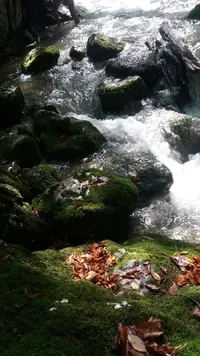 mvY8GjgbliM.webp