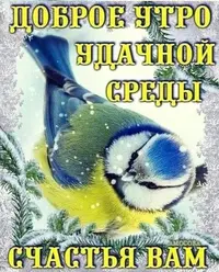 IMG-20220209-WA0002.webp