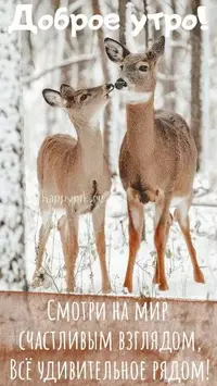 c891b791893d41995e1356b4655a89cb.webp