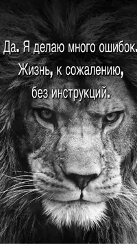 9c079963ab9b0acadaecb155c64c83ff.webp