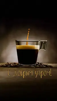08A2BD64-B51E-44D3-AA8A-1E54D01787C6.webp