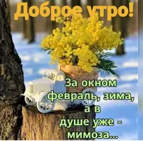 14-46.webp