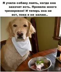 74F6D064-FC13-4699-9864-4B3A41C0DF1C.webp