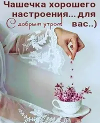 2022-02-09.webp