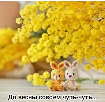 16-17.webp