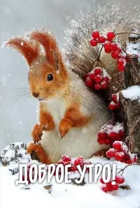 72C64784-8000-4A2C-8932-E42D2DFEFBAD.webp
