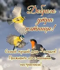 IMG-20220211-WA0010.webp