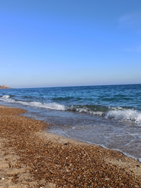 IMG_20220213_144630.webp